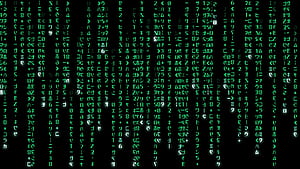 Programming, Matrix code, HD wallpaper