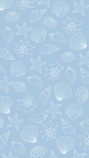 Sea shell, Shell Pattern, HD phone wallpaper