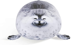 Fat Seal, HD wallpaper