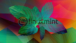 Linux Mint, Linux, Technology, HD wallpaper