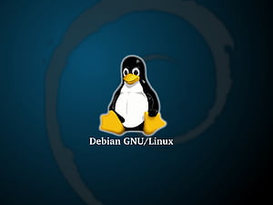 Debian Tux, GNU Linux, HD wallpaper