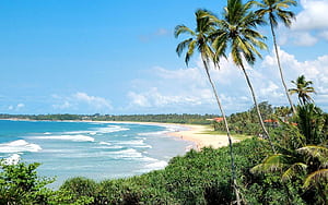 The 10 BEST Fishing Charters in Bentota, Sri Lanka from US $70 (Summer 2025), HD wallpaper