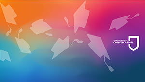 Convocation countdown: Day 7, HD wallpaper