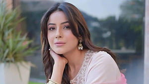 Shehnaaz Gill says 'Bigg Boss' doesn't guarantee success, HD wallpaper