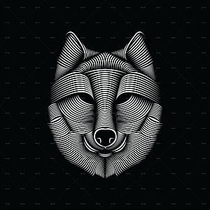 Wolf Vector, HD phone wallpaper
