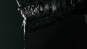 Alien: Romulus , 2024, HD wallpaper