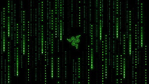 Razer Matrix Falling Codes, HD wallpaper