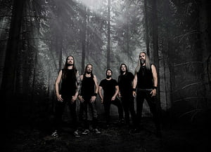 New single The Witch Hunter is out now, Insomnium, HD wallpaper