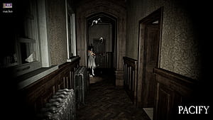 Pacify Controller Support, HD wallpaper