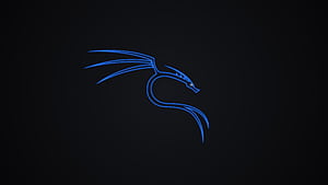 Kali Linux Dragon - Technology, technology, Linux, Kali Linux, HD wallpaper