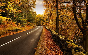 Time For Fall Computer, HD wallpaper