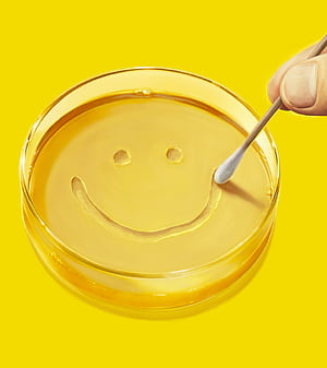 Everything We Know About 'Pluribus', 'Breaking Bad' Creator Vince Gilligan's Mysterious New Sci Fi, HD phone wallpaper