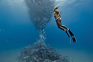 Diving Deep: World Records in diving and Scuba Diving, Underwater Diving, HD wallpaper