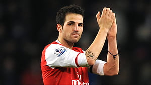 Arsenal's World Class Star Is Starting To Look Like Prime Cesc Fabregas, HD wallpaper