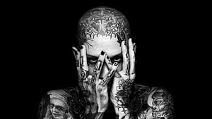 Caskey, HD wallpaper