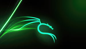 Kali Linux Green , kali-linux, backtrack, linux, computer, HD wallpaper