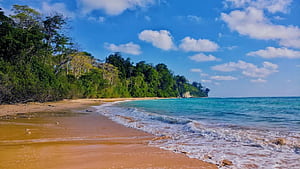 This remote Indian beach just made it to Asia's—and it's not where you think!. Times of India, Indian Beaches, HD wallpaper