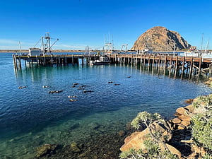 Fun Things To Do In Morro Bay, California's Hidden Gem, HD wallpaper