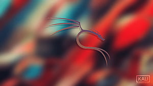 Kali Linux, Kali Linux Logo, HD wallpaper