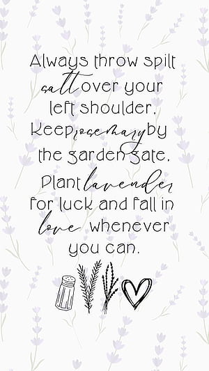 ✨Practical Magic ✨. Practical magic quotes, Practical magic, Halloween iphone background, HD phone wallpaper