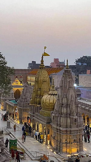 Kashi Vishwanath Temple, HD phone wallpaper