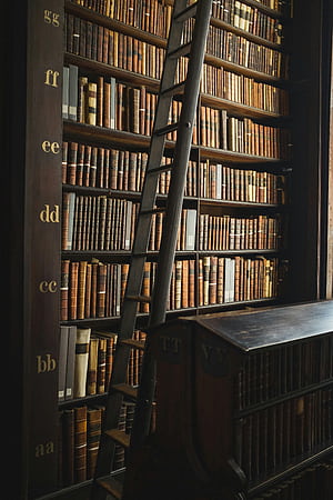 Old Library ., Libraries, HD phone wallpaper