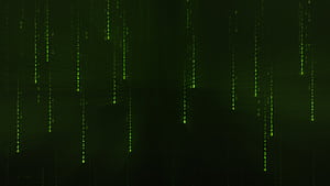 Matrix Code Minimal, matrix, computer, programming, minimalism, minimalist, HD wallpaper