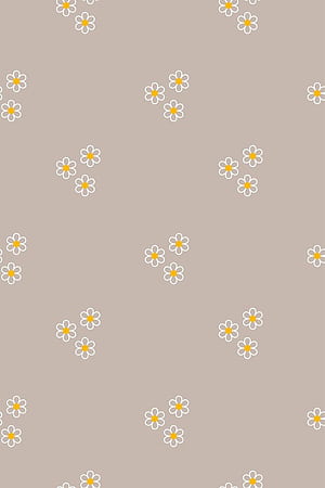 Simple cute, Cute Basic, HD phone wallpaper