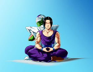 Luis Navas BALL FIGHTER Z, Goku Meditation, HD wallpaper
