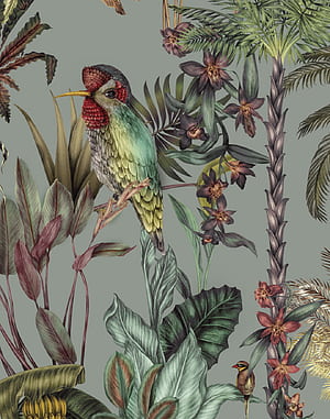 Birds Birds, Original, Jungle Birds, HD phone wallpaper