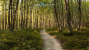 Try These Pure Michigan Background For Your Video Calls, Upper Peninsula, HD wallpaper