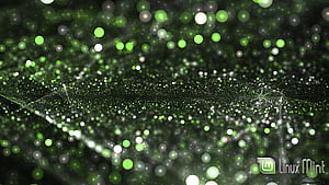 LinuxMint3, linux mint, fractal, HD wallpaper
