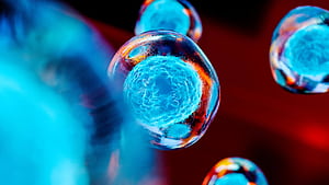 Stem Cell, HD wallpaper