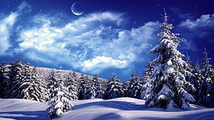 Winter, Winter Theme, HD wallpaper