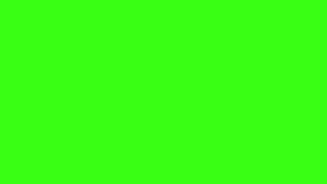 Solid Green, Blank Green, HD wallpaper