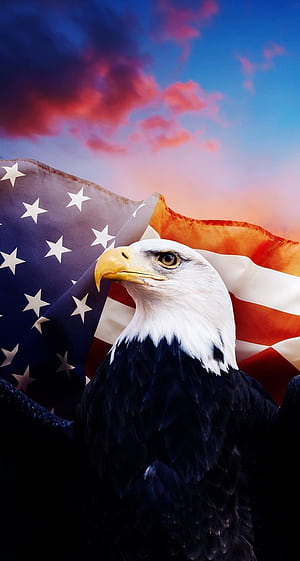 America the Beautiful. Patriotic , American flag , iPhone, American Flag With Bald Eagle, HD phone wallpaper