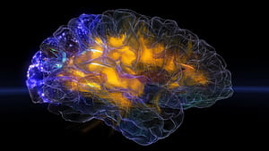 brain waves, HD wallpaper