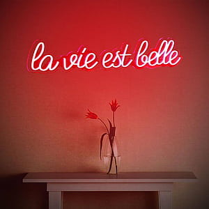 La Vie Est Belle neon sign, French expression neon light sign for home decor Bedroom Decor, Aesthetic Room Decor， life is beautiful led Neon light, Inspiring Decor Gift for Her style, HD phone wallpaper