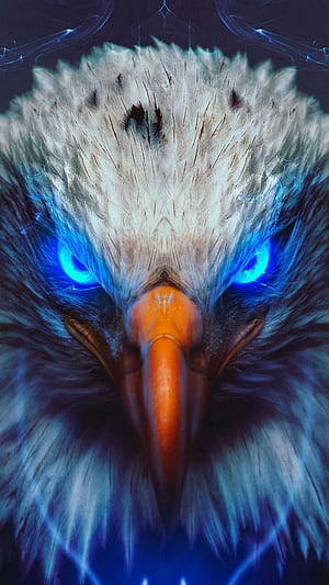 Eagle Best Eagle, Red Eagle, HD phone wallpaper