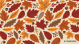 Cute background inspired, Fall Theme, HD wallpaper