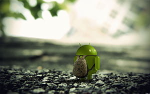Android 3D, android, HD wallpaper