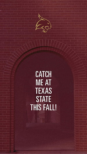 Texas State, HD phone wallpaper