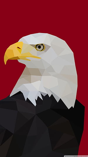 Eagle iPhone, Red Eagle, HD phone wallpaper