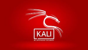 Kali Linux Red Full, Linux Security, HD wallpaper