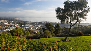Ventura Travel Guide, Ventura California, HD wallpaper