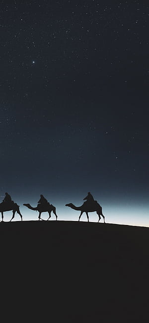 Camels , Silhouette, Moon, Dark background, Camel, HD phone wallpaper