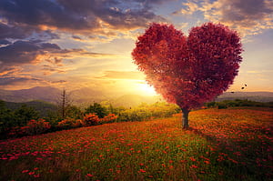 Heart Shaped Artistic Tree , Artist , And Background, Heart, HD wallpaper