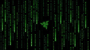 Razer , Matrix falling code, Program, Minimalist Matrix, HD wallpaper