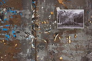 copy ., HD wallpaper