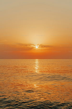 Bright Future ., HD phone wallpaper